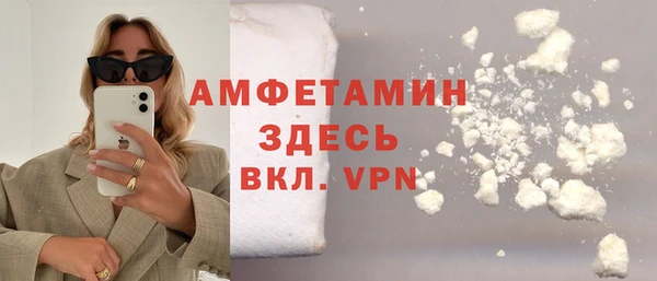 гидра Абаза