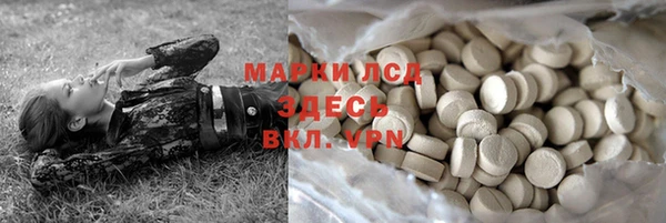гидра Абаза