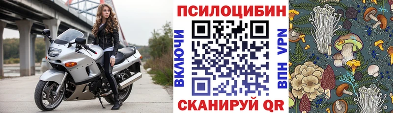 купить   блэк спрут ССЫЛКА  Галлюциногенные грибы GOLDEN TEACHER  Ярцево 
